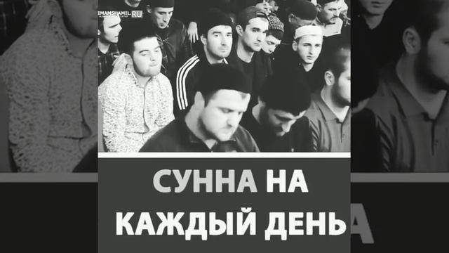 Сунна на каждый день Очень важно знать Лайкни?? смотреть онлайн