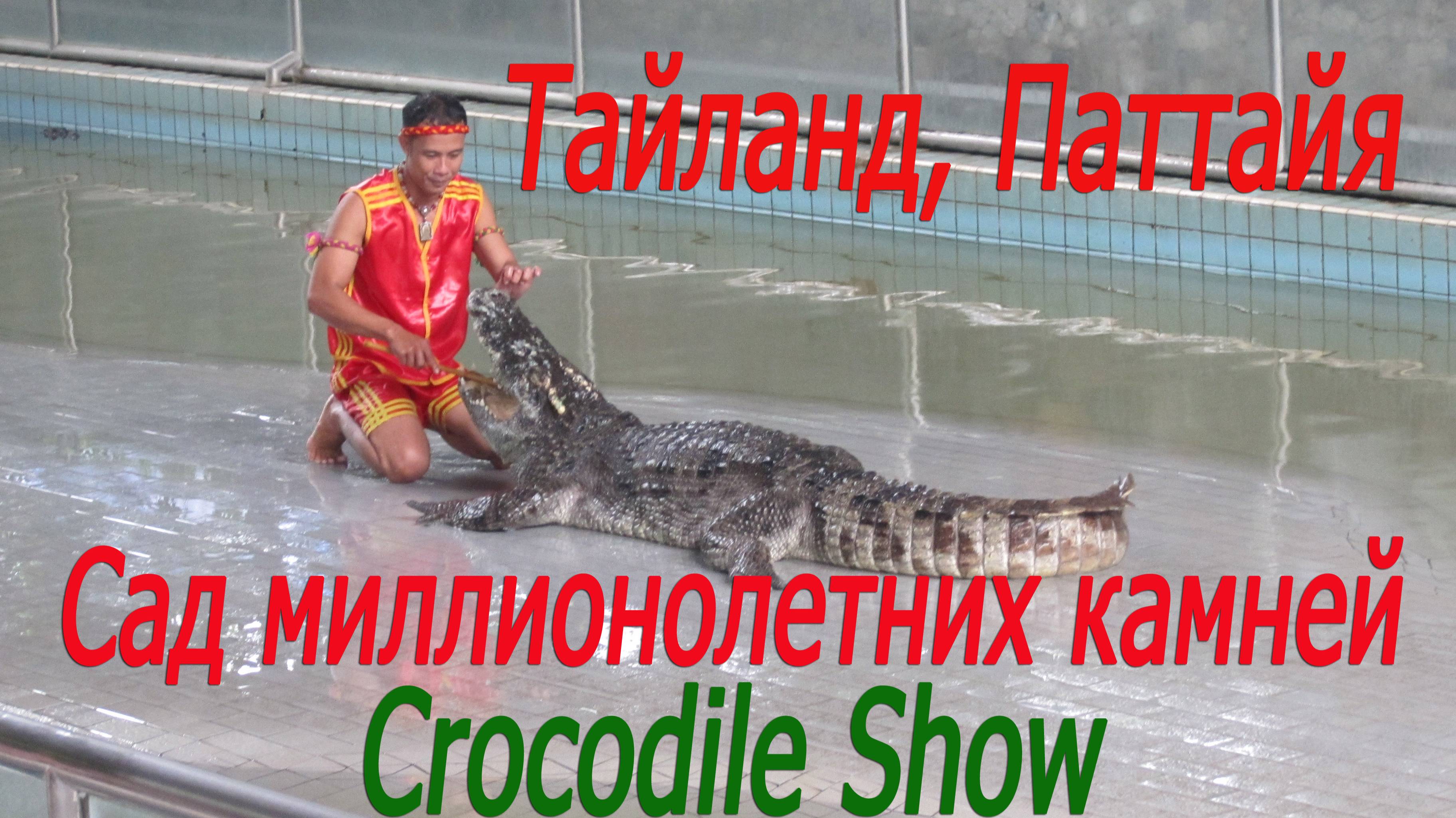 Тайланд, Паттайя, сад миллионолетних камней,  шоу крокодилов # Thailand, Pattaya, crocodile show