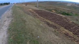 Заготовка топлива из навоза (кизяк). Велопоход по Молдове 2018 #13
