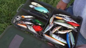 ?МОЙ СПИННИНГ для ОЧЕНЬ ДАЛЬНЕГО ЗАБРОСА Savage Gear Parabellum CCS // ЛОВИМ ГОЛАВЛЯ, ЖЕРЕХА и УСАЧ