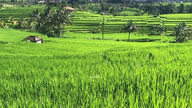 ТЕХНИКА ВРАТ. 15 мин смотреть онлайн