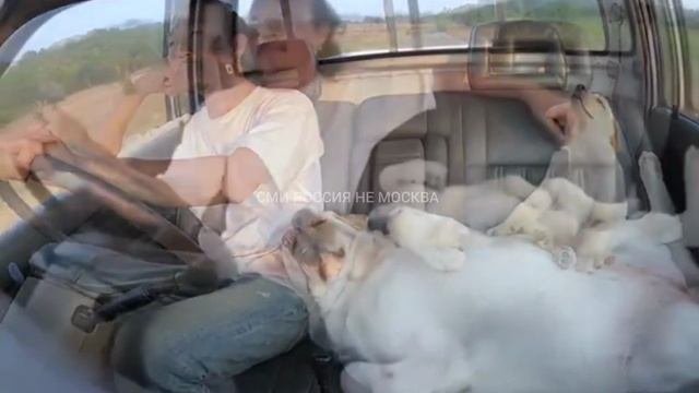 хорошо когда хорошо