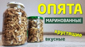 Маринованные опята – простой рецепт на зиму в банках | Заготовки на зиму | Рецепты из грибов