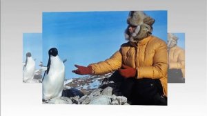 Для чего нужно переворачивать ПИНГВИНОВ...!!!