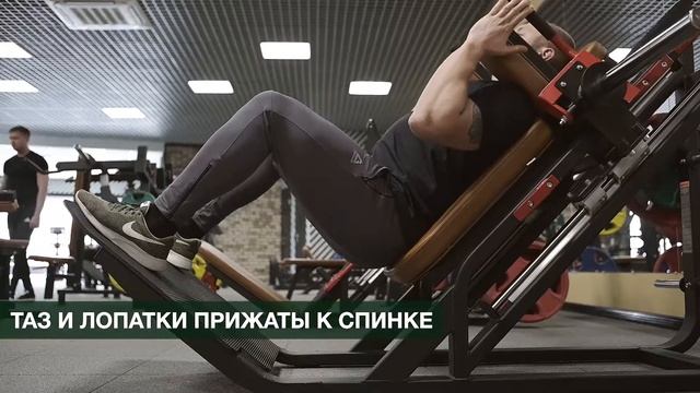 Тренажёр: приседание в Гакк–машине смотреть онлайн