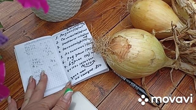 АКЦИЯ НА ПРОФИ СЕМЕНА ОГОРОДИЩЕ 1 и 2 // ВАЦАП ДЛЯ ЗАКАЗА 8-915-245-81-59 ПИСЬМЕННО смотреть онлайн