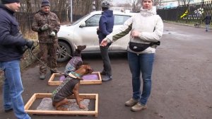 Начальное обучение выполнять комплекс на расстоянии, окд, риджбек и доберман