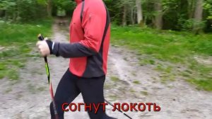 ТЕХНИКА СЕВЕРНОЙ ХОДЬБЫ (подробное пособие для начинающих)