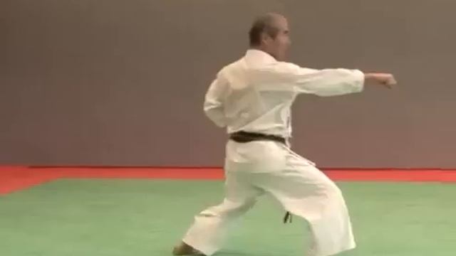 5. Pinan Godan Wado Ryu смотреть онлайн