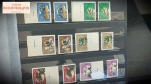 Моя коллекция марки СССР 1964 обзор цен по каталогу My collection of stamps of the USSR 1964 price