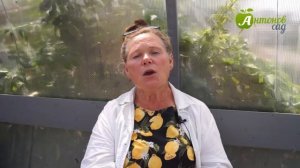 Как обработать теплицу осенью. Борьба с белокрылкой и клещом в теплице