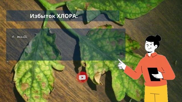 Как по внешнему виду картофеля определить недостаток питательных веществ. Признаки