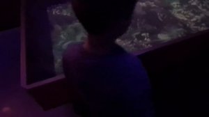 НЕОБЫКНОВЕННЫЙ МУЗЕЙ ЧУДЕС??? | ДИВНЫЙ ГОРОД | ГРАНД КАНЬОН |????РАЗВЛЕЧЕНИЯ ДЕТЯМ И ВЗРОСЛЫМ!!!