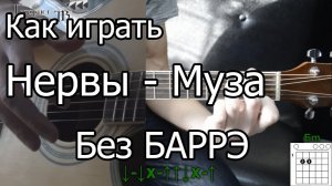 Нервы - Муза простая песня Без Баррэ (Видео урок) Как играть на гитаре. Разбор