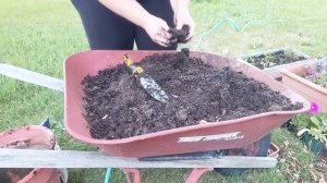 Resetting Flower Pots/Small Planting Containers - Work With Me | Wyoming Zone 4