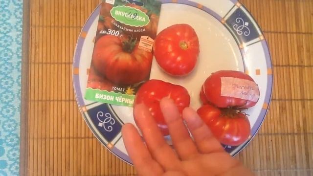 Томат "Бизон черный". Дегустация смотреть онлайн