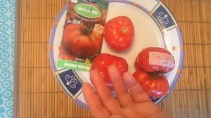 Томат "Бизон черный". Дегустация