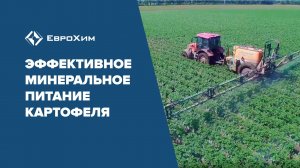 КАК ПОЛУЧИТЬ ВЫСОКИЙ УРОЖАЙ КАРТОФЕЛЯ