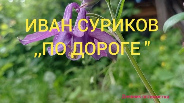 ИВАН СУРИКОВ  ,,ПО ДОРОГЕ " #дневникоптимистки #аудиокнига #стихи #суриков