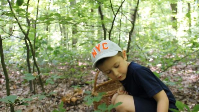 ПОХОД ЗА ГРИБАМИ !!! СОБИРАЕМ ГРИБЫ !!! ГРИБНЫЕ МЕСТА !!! БЕЛЫЕ ГРИБЫ !!! смотреть онлайн