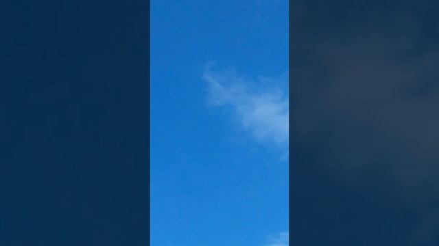 голуби вольная солянка смотреть онлайн