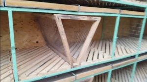 Создание нового ШЕДА. Клетки для кроликов.