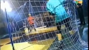 "Царь горы" 40 Лом, Белка, Лев