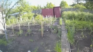 Приехал в Старосемейкино (Самарская Область)