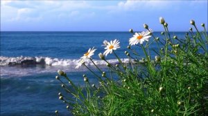 Релакс для сна