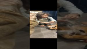 С новым годом