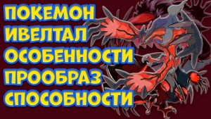 ПОКЕМОН ИВЕЛТАЛ. ОСОБЕННОСТИ, СПОСОБНОСТИ ПРООБРАЗ