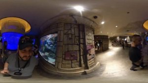 [360 VIEW] Shark Reef Aquarium | Mandalay Bay