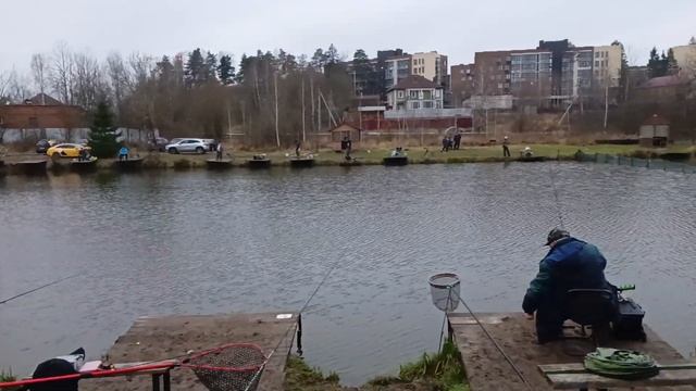 Светлые Горы. Обзор 11.11.23 смотреть онлайн