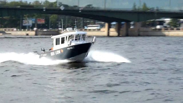 Мореходный алюминиевый катер Sea Pride 850 на ходу смотреть онлайн