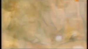 Иоганн Штраус