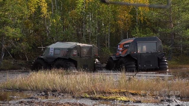 "ВЕЗДЕХОД - трофи" 2020. Болота, торфяные ванны, буреломы и другие внедорожные прелести.