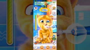 Джинжер моеца сушица чистит зубы и играет
