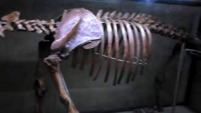 КИШИНЕВСКИЙ КРАЕВЕДЧЕСКИЙ МУЗЕЙ. КИШИНЕВ . AAAA CHISINAU LOCAL HISTORY MUSEUM