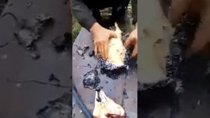 Как быстро очистить утку от перьев