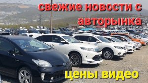 АВТОРЫНОК ЗЕЛЁНЫЙУГОЛ ВЛАДИВОСТОК 2023