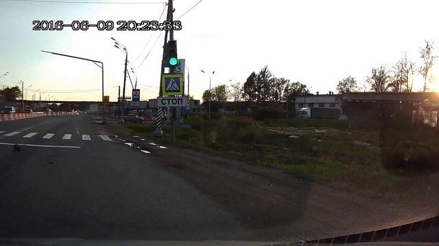 Переход утки с утятами через Минское шоссе "Внуково" смотреть онлайн