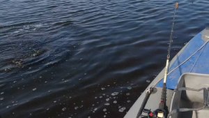 МайскиеЗарисовки-22_05_2022