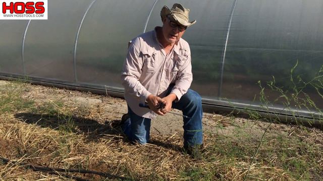 The Best Way to Harvest Asparagus смотреть онлайн