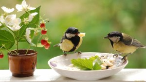 Доброе Утро! Самый Лучший ДЕНЬ!