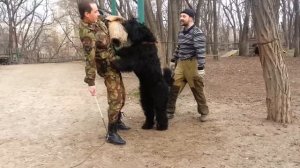 РЧТ. Ляля жжёт на "работе".