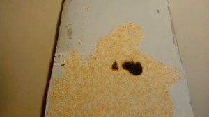 Горят ли жидкие обои? Испытываем жидкие обои Silk Plaster на горючесть.