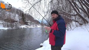 Силиконовые приманки ZCH ничего подобного нет. Щука и судак не пропустят эти джиговые приманки.