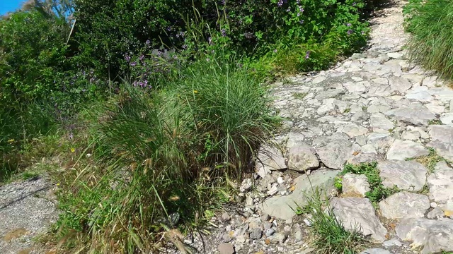 20170522_105326 смотреть онлайн