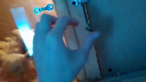 Выращивание и содержание бройлеров КОББ700  2 недели / Часть 3