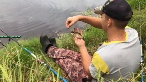 Вот это КАРАСЬ !!  Как ловить карася в сентябре? Ловля карася осенью. Карась на поплавок на перловк